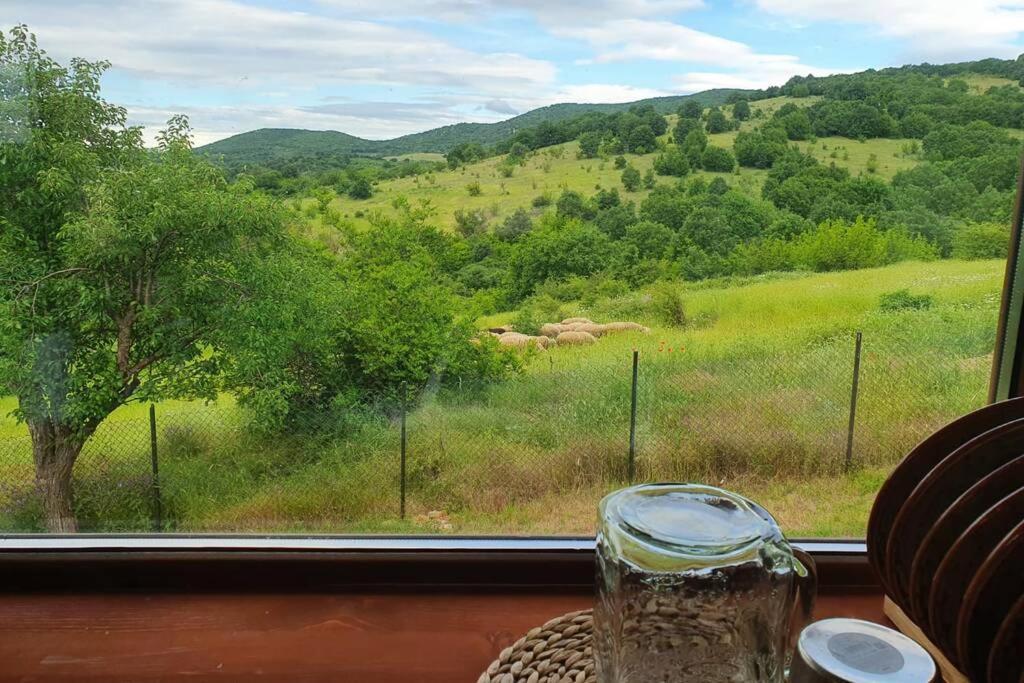 Luxury Villa Bella Lyaskovo Village Eksteriør bilde